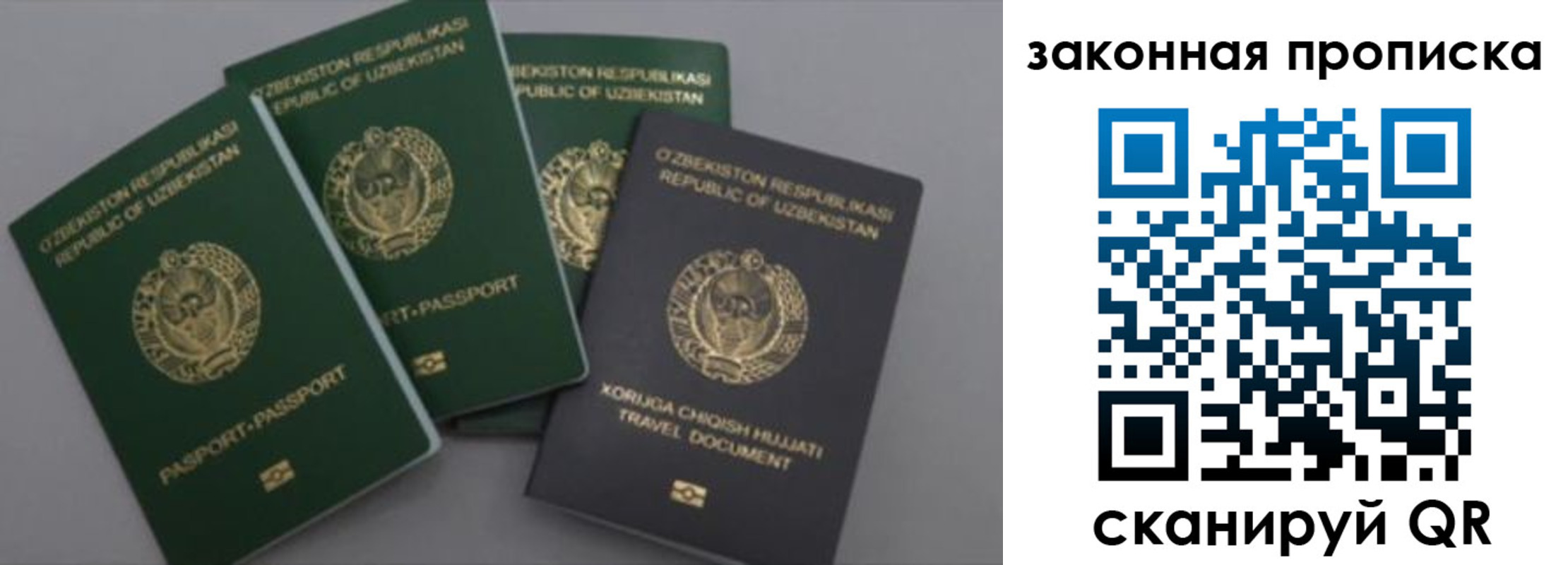 прописка законно в Камчатском крае